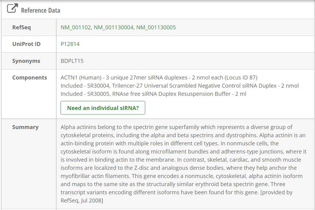 ACTN1 (Human) - 3 unique 27mer siRNA duplexes - 2 nmol each