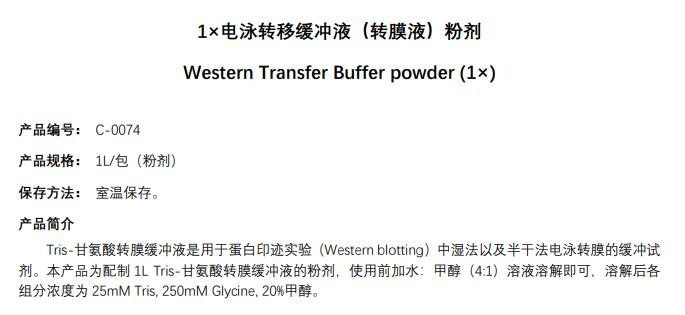 1×电泳转移缓冲液（转膜液）粉剂;