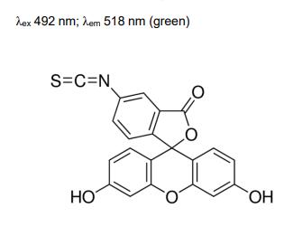 荧光标记染料FITC/异硫氰酸荧光素酯