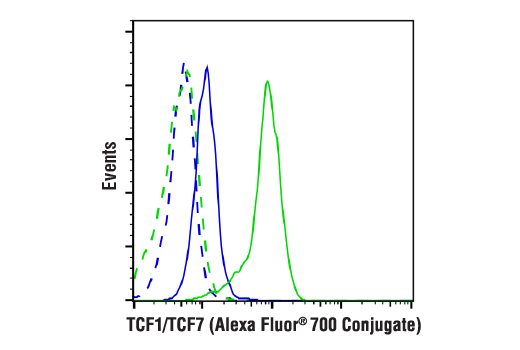 TCF1/TCF7 (C63D9) Rabbit mAb (Alexa Fluor 700 Conjugate)