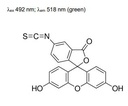 荧光标记染料FITC/异硫氰酸荧光素酯